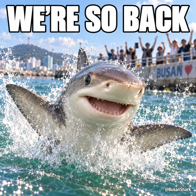 We're so back — Busan Shark reaction meme