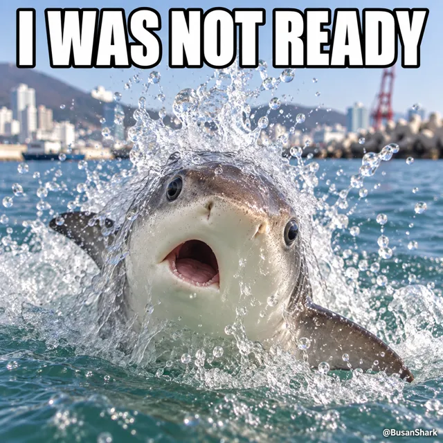 Not ready — Busan Shark reaction meme