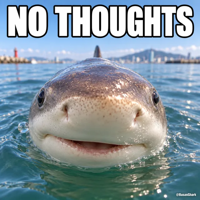 No thoughts — Busan Shark reaction meme