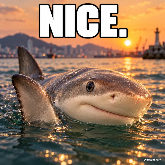 Nice — Busan Shark reaction meme