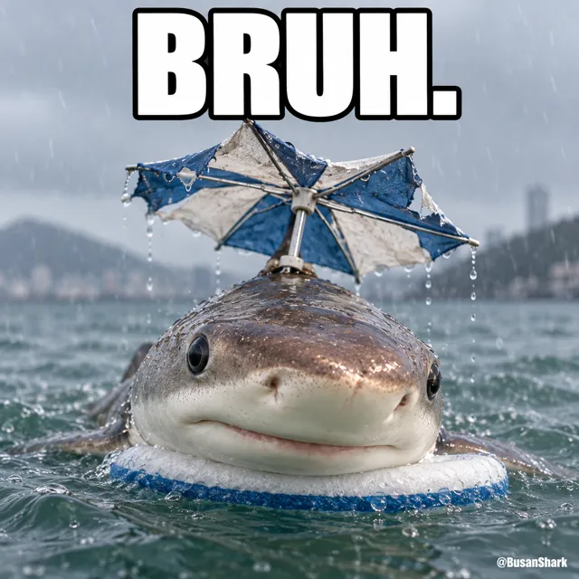 Bruh. — Busan Shark reaction meme